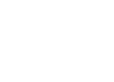 Prof. Dr. med. Vincenzo Penna und Prof. Dr. med. Nestor Torio › Plastische Chirurgie in Lörrach